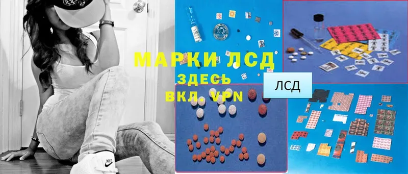 купить наркотики сайты  Богородск  Лсд 25 экстази ecstasy 